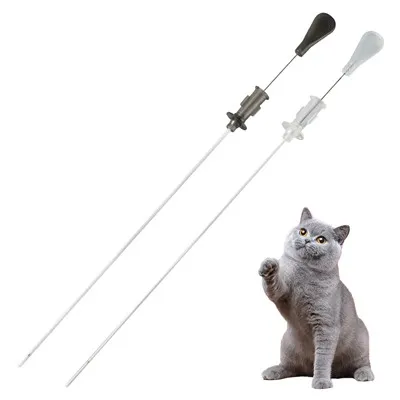 Catheter tiết niệu mèo